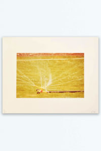 David Hockney Untitled (Sprinkles) 1976