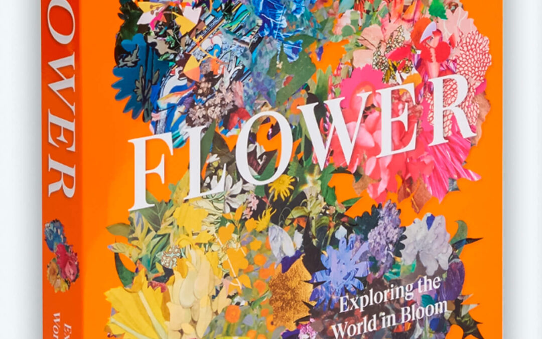Flower–Exploring-the-World-in-Bloom