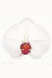 Marc Quinn White Orchid