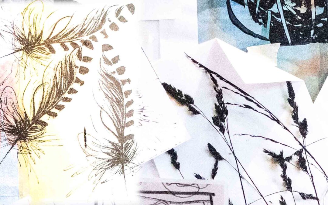 Story-Cashmere-and-silk-scarves-inspired-by-natural-landscape,-flora-&-fauna-sketches